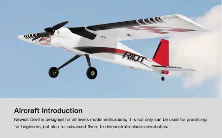 Dancing Wings, Top RC Riot RC Plane PNP