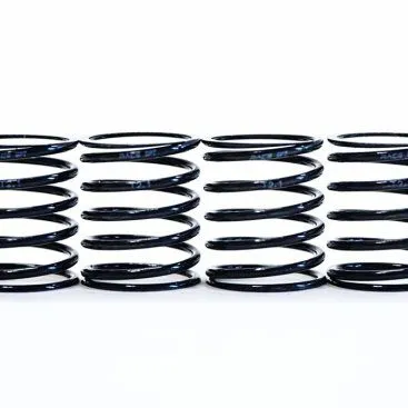 TEAM POWERS 1:10 Linear 2.5 Spring(Black Series) - Image 1