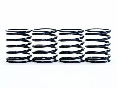 TEAM POWERS 1:10 Linear 2.5 Spring(Black Series)