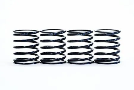 TEAM POWERS 1:10 Linear 2.5 Spring(Black Series) RACEOPT