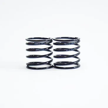 TEAM POWERS 1:10 2.5 Progressive Spring (Black Series) RACEOPT