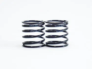 TEAM POWERS 1:10 2.5 Progressive Spring (Black Series)