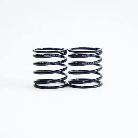 2.5 17.5 TEAM POWERS 1:10 2.5 Progressive Spring (Black Series) RACEOPT