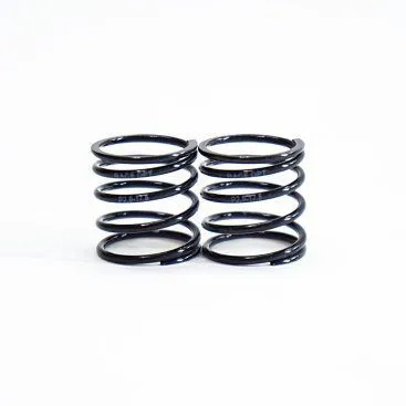 TEAM POWERS 1:10 2.9 Progressive Spring (Black Series) RACEOPT