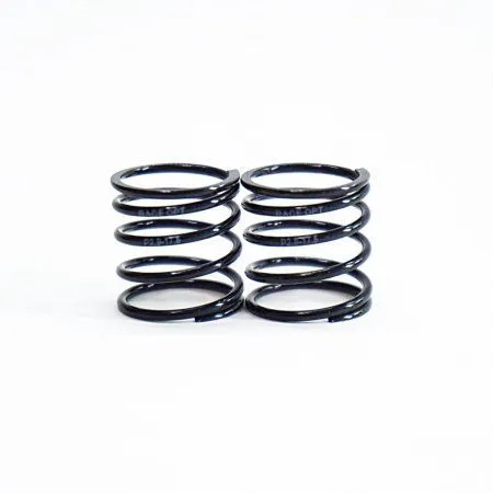 2.9 17.5 TEAM POWERS 1:10 2.9 Progressive Spring (Black Series) RACEOPT