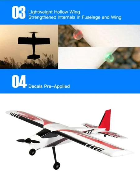 Dancing Wings, Top RC Riot RC Plane PNP