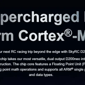 SkyRC D200 CHARGER Neo Duo AC/DC charger - Image 3