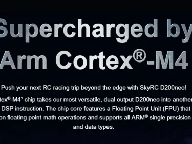 SkyRC D200 CHARGER Neo Duo AC/DC charger SkyRC D200 CHARGER Neo Duo AC/DC charger - Image 3