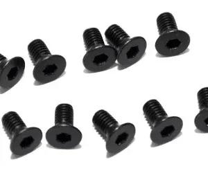 BLK ALLOY SCREWS