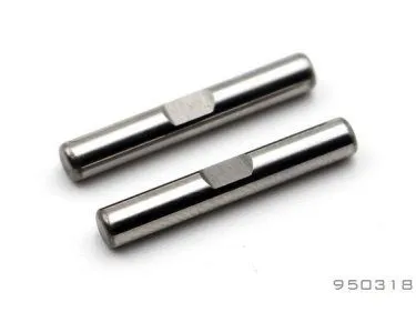  SNRC M-950318