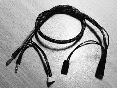 CHARGE LEADS