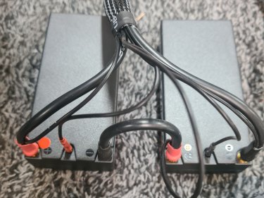 4S 2S CHARGE LEADS