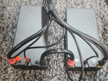 4S 2S CHARGE LEADS