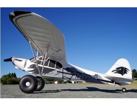 fms super cub fms super cub